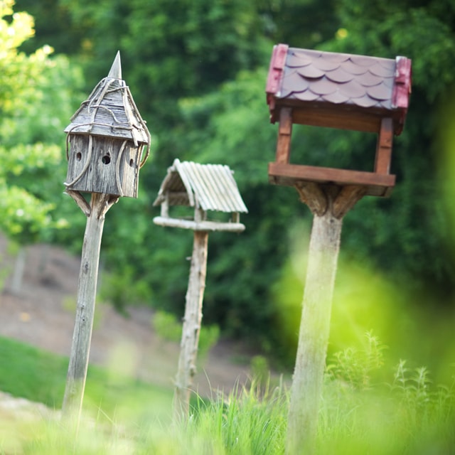 Briar Chapel bird houses.