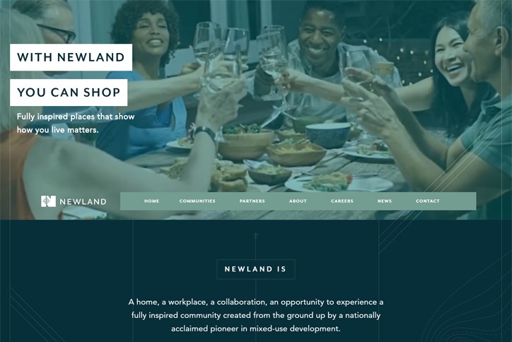 Image of the top part of the Newlandco.com homepage