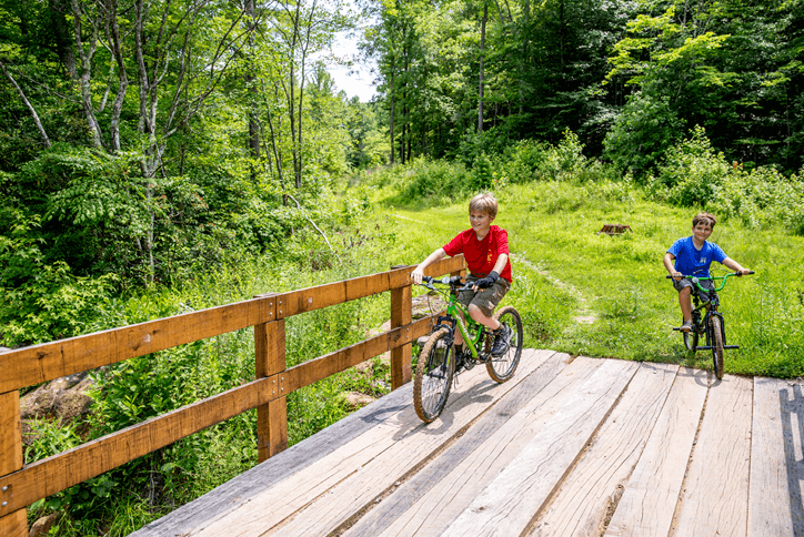Two young boys on mountain bikes on wooded trail