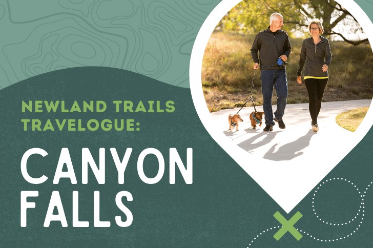 Blog-Trails-Travelogue-CanyonFalls.png