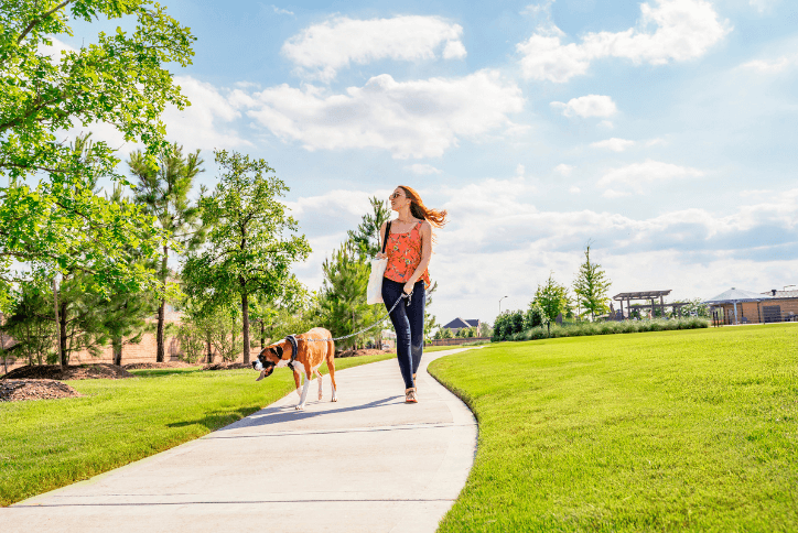Woman walking a dog next to trees and large grassy area